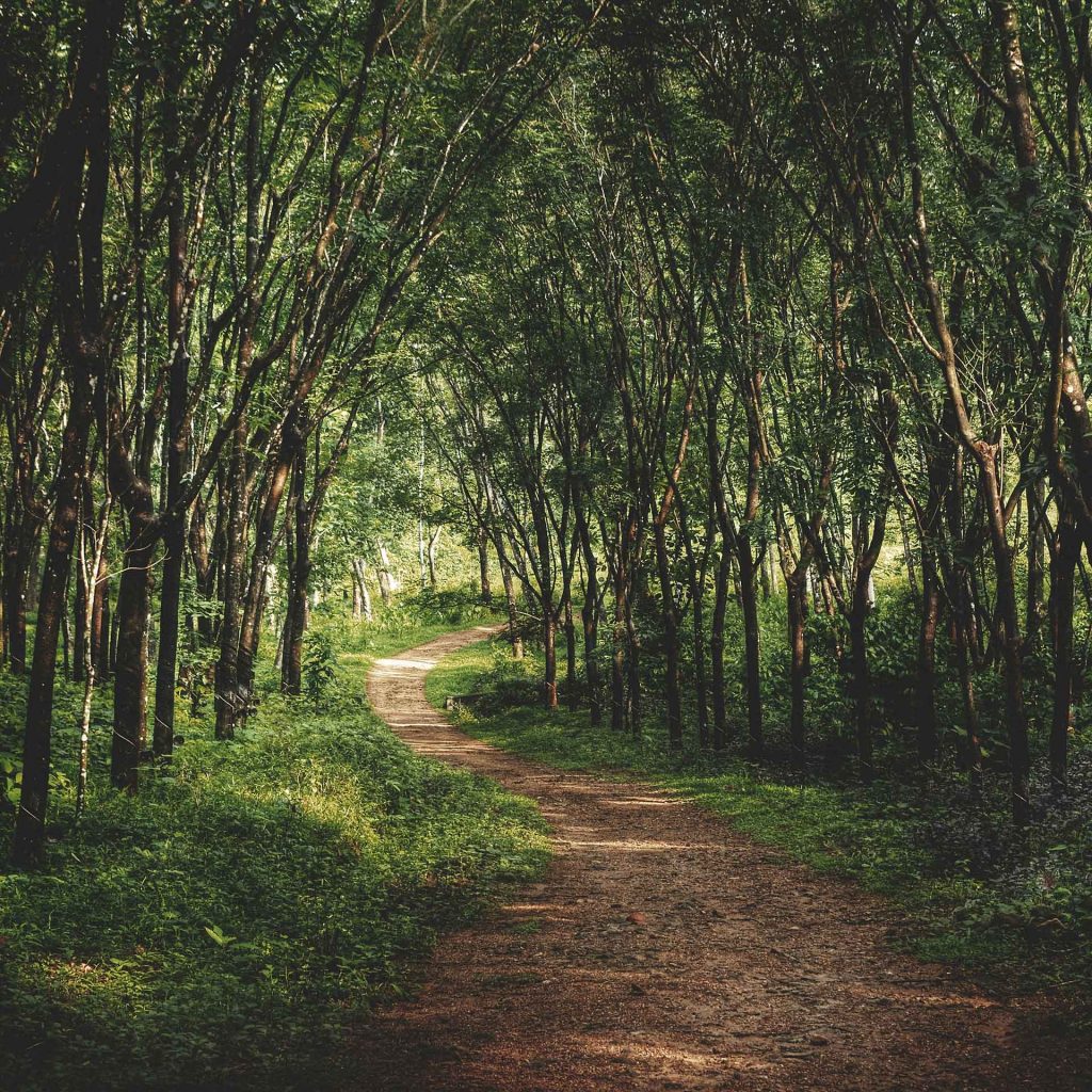 Gîtes du domaine de Grosmesnil - Foret d'eawy