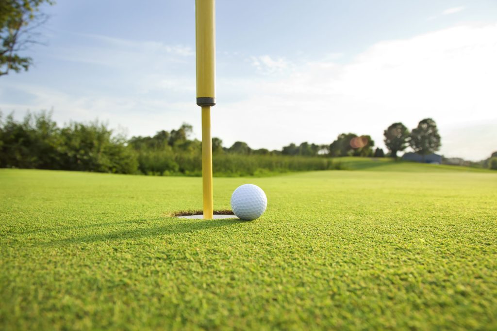 Gîtes du domaine de Grosmesnil - aux alentours - Golf Mont-Saint-Aignan